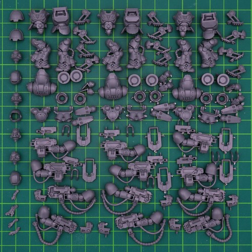 Space marines primaris - marines,