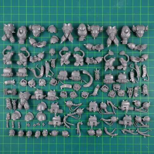 Space marines primaris - marines,